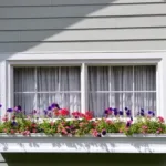 Window and siding with a beautiful flower covered window sill beneath the open blinds